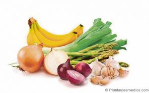 Frutas y verduras. prebióticos y probióticos. Centro Pronaf