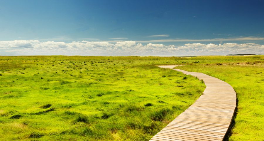 Trucos o tips para conseguir un reto.