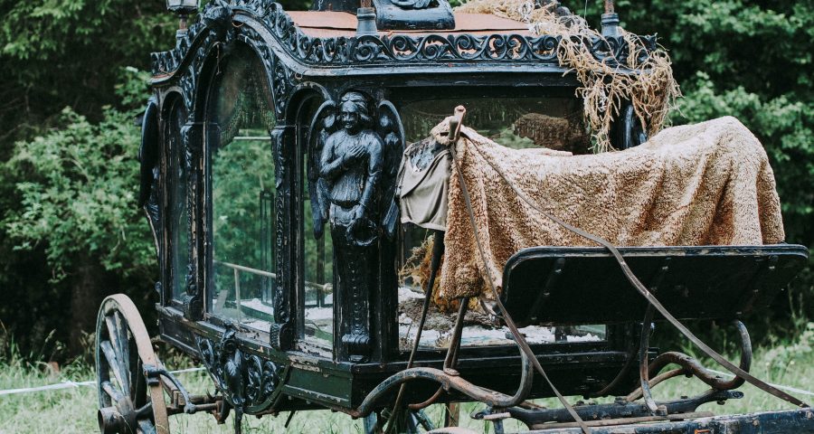 Dieta cenicienta. Cinderella diet. Centro pronaf